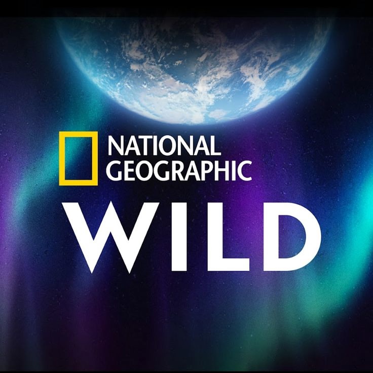 NAT GEO WILD